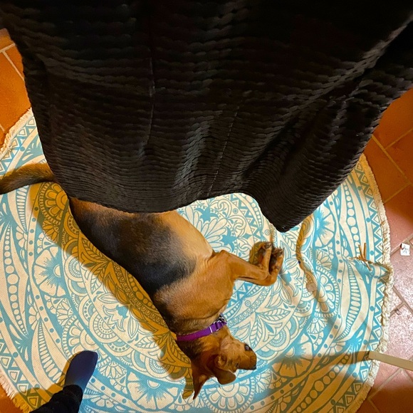 BB Dakota - Picture 2 of 4